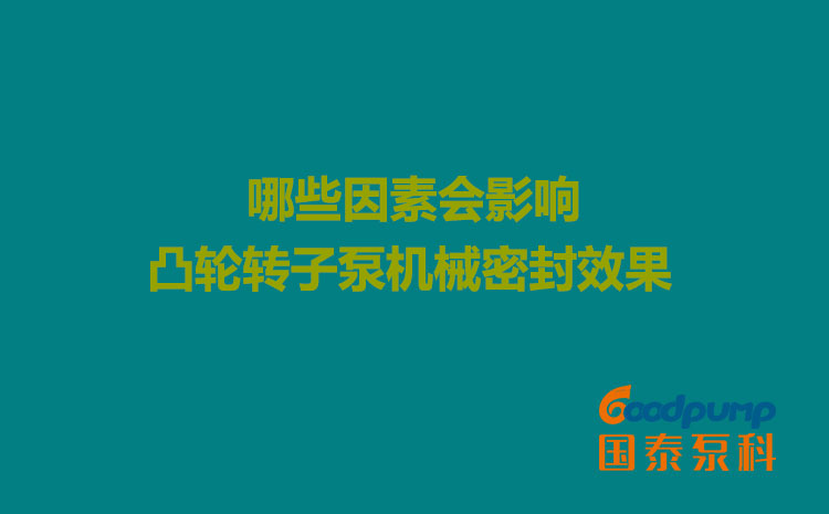 哪些因素會影響凸輪轉子泵機械密封效果